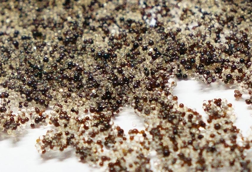 رزین میکس بد (Mixed Bed Resin)